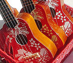 gitaar